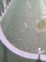 20210707_201151.jpg