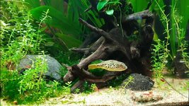 WhatsApp Image 2021-10-03 at 20.07.57.jpeg