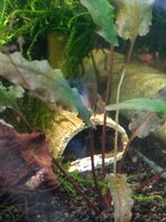 IMG_20220117_183552249.jpg