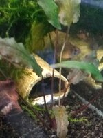 IMG_20220117_183604091.jpg