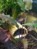 IMG_20220117_183600713.jpg
