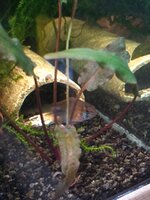 IMG_20220117_183613483.jpg