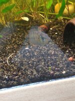 IMG_20220117_184622237.jpg