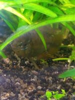 IMG_20220117_184837335.jpg
