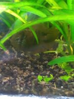 IMG_20220117_184829420.jpg