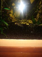 IMG_20220119_100532833.jpg