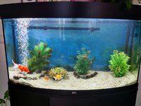 IMG_20220125_110544.jpg