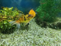 IMG_20220125_110551.jpg
