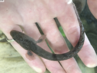 Screenshot 2022-03-11 at 15.16.03.png