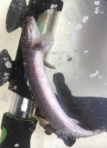 Screenshot 2022-03-13 at 14.10.02.png