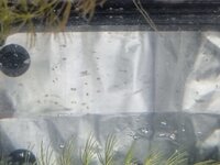 20220430_103707.jpg
