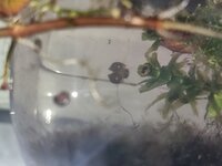 20220501_172753.jpg