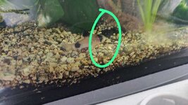 WhatsApp Image 2022-07-06 at 3.53.42 PM.jpeg