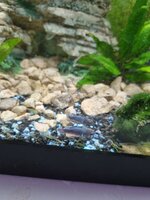20220719_173028.jpg