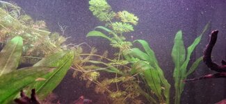 20221030_120658.jpg