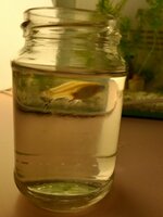 20230114_172700.jpg