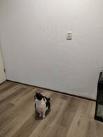 IMG_20230122_081447779.jpg