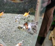 IMG_20230122_132608336~2.jpg