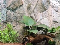 IMG_20230216_212151688.jpg