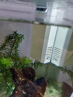20230327_162557.jpg