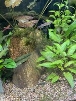 IMG_3713.jpeg