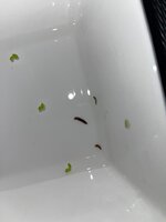 WhatsApp Image 2023-04-01 at 17.13.32.jpeg