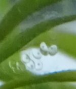 IMG_20230430_121018.jpg
