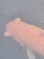 20230503_170457.jpg