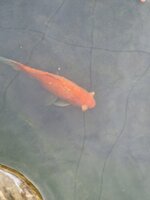 20230328_170611.jpg