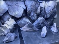 IMG_8623.jpeg