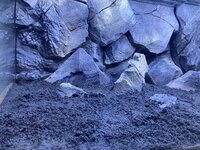 IMG_8631.jpeg