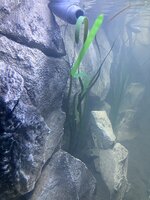 IMG_8642.jpeg