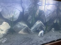 IMG_8645.jpeg