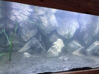 IMG_8644.jpeg