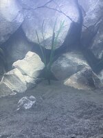 IMG_8643.jpeg