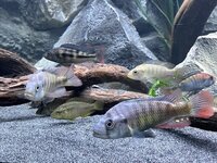 IMG_8785.jpeg