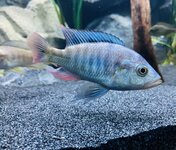IMG_8775.jpeg