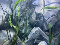 IMG_8773.jpeg