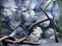 IMG_8766.jpeg