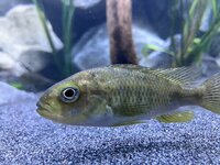IMG_8765.jpeg