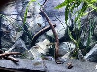 IMG_8769.jpeg