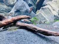 IMG_8780.jpeg
