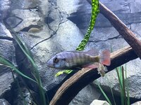 IMG_8783.jpeg