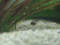 IMG_20230903_133053.jpg