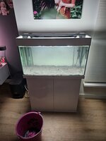20230906_211549.jpg