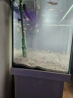 20230906_213820.jpg