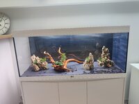 IMG_20211007_160723.jpeg