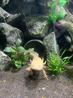 IMG_9624.jpeg