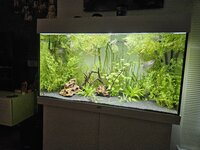 20230918_171945.jpg