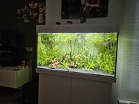 20230918_171947.jpg